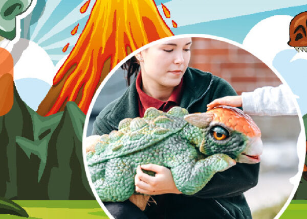 park hall farm oswestry