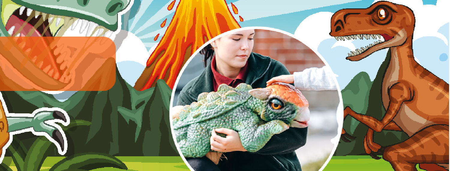 park hall farm oswestry